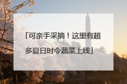 可亲手采摘！这里有超多夏日时令蔬菜上线