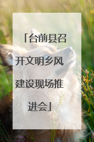 台前县召开文明乡风建设现场推进会