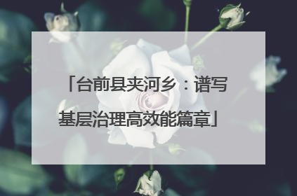 台前县夹河乡：谱写基层治理高效能篇章