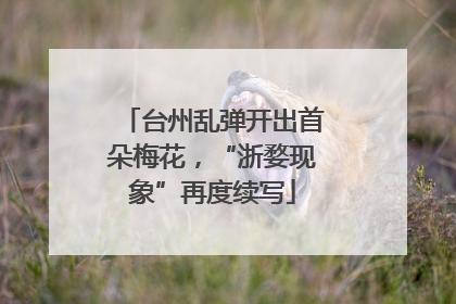台州乱弹开出首朵梅花，“浙婺现象”再度续写