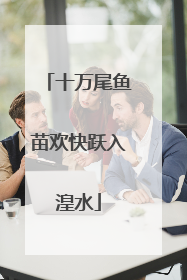十万尾鱼苗欢快跃入湟水