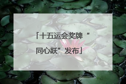 十五运会奖牌“同心跃”发布