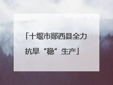 十堰市郧西县全力抗旱“稳”生产