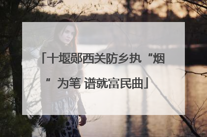 十堰郧西关防乡执“烟”为笔 谱就富民曲