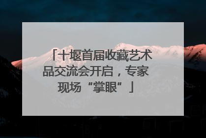 十堰首届收藏艺术品交流会开启，专家现场“掌眼”