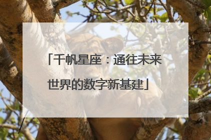 千帆星座：通往未来世界的数字新基建