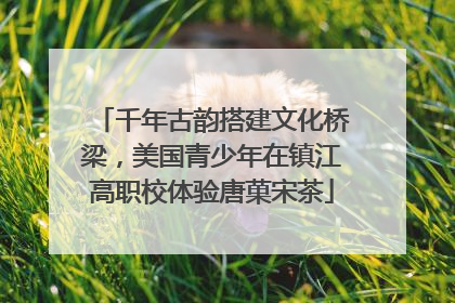 千年古韵搭建文化桥梁，美国青少年在镇江高职校体验唐菓宋茶