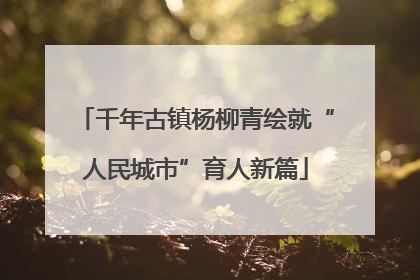 千年古镇杨柳青绘就“人民城市”育人新篇