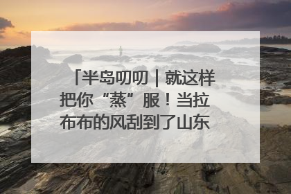 半岛叨叨｜就这样把你“蒸”服！当拉布布的风刮到了山东馒头界……
