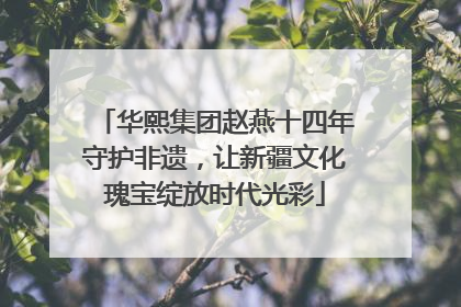 华熙集团赵燕十四年守护非遗，让新疆文化瑰宝绽放时代光彩