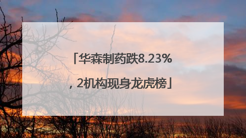 华森制药跌8.23%，2机构现身龙虎榜