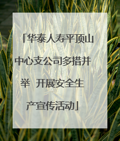 华泰人寿平顶山中心支公司多措并举  开展安全生产宣传活动