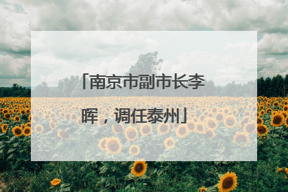 南京市副市长李晖，调任泰州