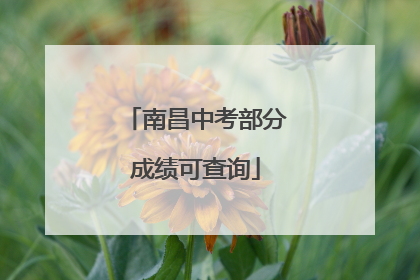 南昌中考部分成绩可查询