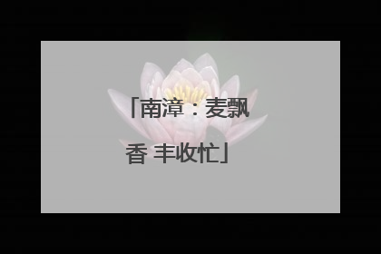 南漳：麦飘香 丰收忙