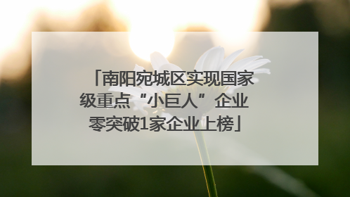 南阳宛城区实现国家级重点“小巨人”企业零突破1家企业上榜