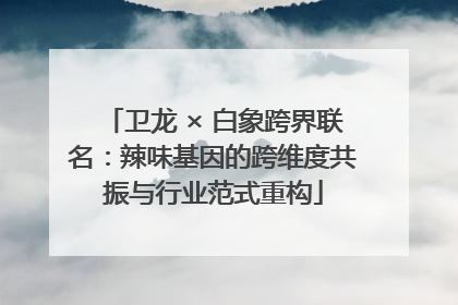 卫龙 × 白象跨界联名：辣味基因的跨维度共振与行业范式重构