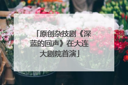 原创杂技剧《深蓝的回声》在大连大剧院首演