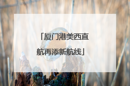 厦门港美西直航再添新航线