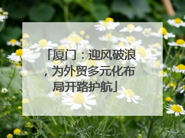 厦门：迎风破浪，为外贸多元化布局开路护航