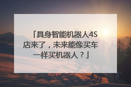 具身智能机器人4S店来了，未来能像买车一样买机器人？