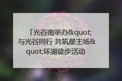 光谷南举办"与光谷同行 共筑星主场"环湖徒步活动 吸引500余名市民参与