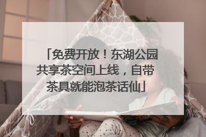 免费开放！东湖公园共享茶空间上线，自带茶具就能泡茶话仙