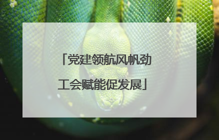 党建领航风帆劲 工会赋能促发展