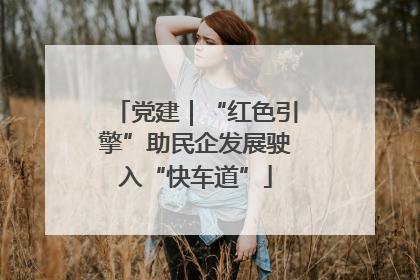 党建｜“红色引擎”助民企发展驶入“快车道”