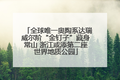 全球唯一奥陶系达瑞威尔阶“金钉子”藏身常山 浙江或添第二座世界地质公园