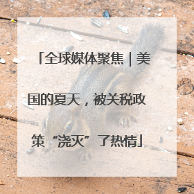 全球媒体聚焦｜美国的夏天，被关税政策“浇灭”了热情