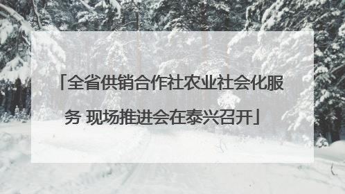 全省供销合作社农业社会化服务 现场推进会在泰兴召开
