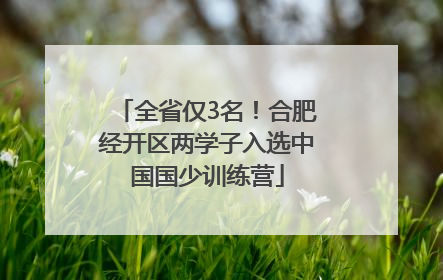 全省仅3名！合肥经开区两学子入选中国国少训练营