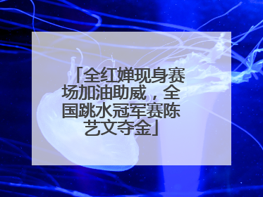 全红婵现身赛场加油助威，全国跳水冠军赛陈艺文夺金