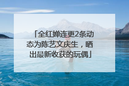 全红婵连更2条动态为陈艺文庆生，晒出最新收获的玩偶