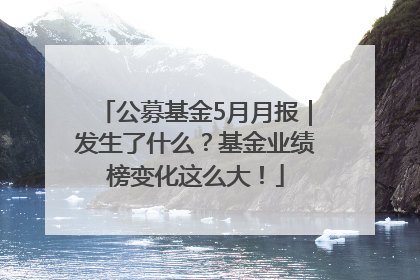 公募基金5月月报｜发生了什么？基金业绩榜变化这么大！