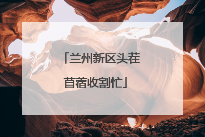 兰州新区头茬苜蓿收割忙