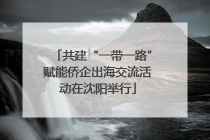 共建“一带一路”赋能侨企出海交流活动在沈阳举行