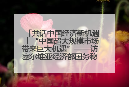 共话中国经济新机遇丨“中国超大规模市场带来巨大机遇”——访塞尔维亚经济部国务秘书尼科利奇