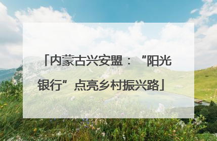 内蒙古兴安盟：“阳光银行”点亮乡村振兴路