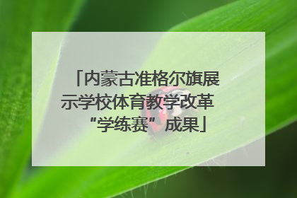 内蒙古准格尔旗展示学校体育教学改革“学练赛”成果