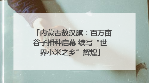内蒙古敖汉旗：百万亩谷子播种启幕 续写“世界小米之乡”辉煌