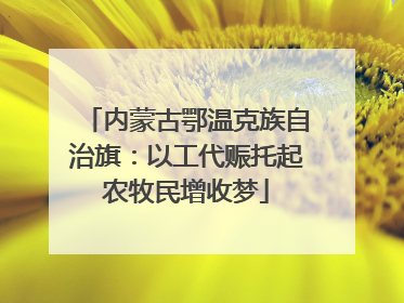 内蒙古鄂温克族自治旗：以工代赈托起农牧民增收梦