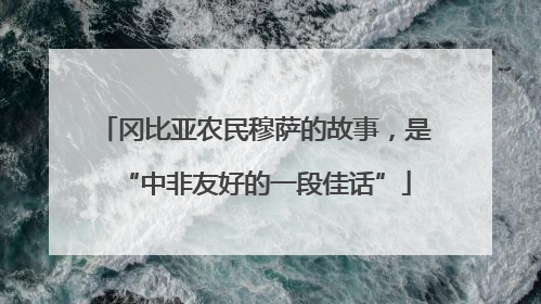 冈比亚农民穆萨的故事，是“中非友好的一段佳话”