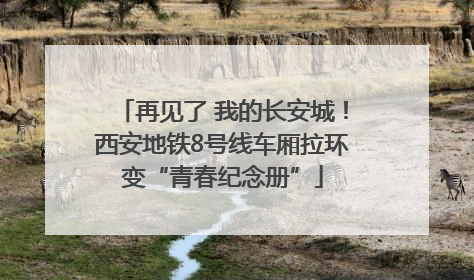 再见了 我的长安城！西安地铁8号线车厢拉环变“青春纪念册”