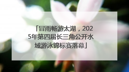 冒雨畅游太湖，2025年第四届长三角公开水域游泳锦标赛落幕