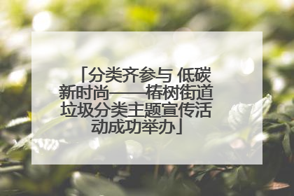 分类齐参与 低碳新时尚——椿树街道垃圾分类主题宣传活动成功举办