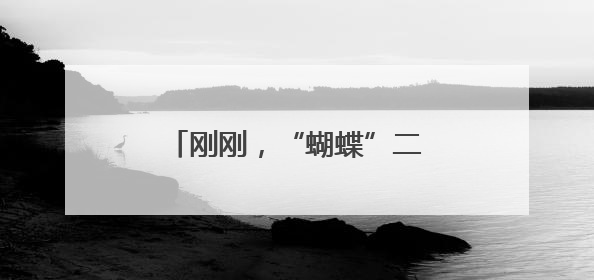 刚刚，“蝴蝶”二次登陆 台风给到浙江风雨不小！