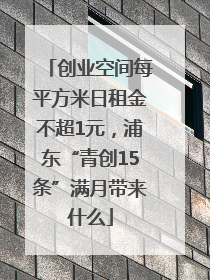 创业空间每平方米日租金不超1元，浦东“青创15条”满月带来什么