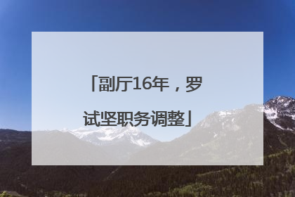 副厅16年，罗试坚职务调整